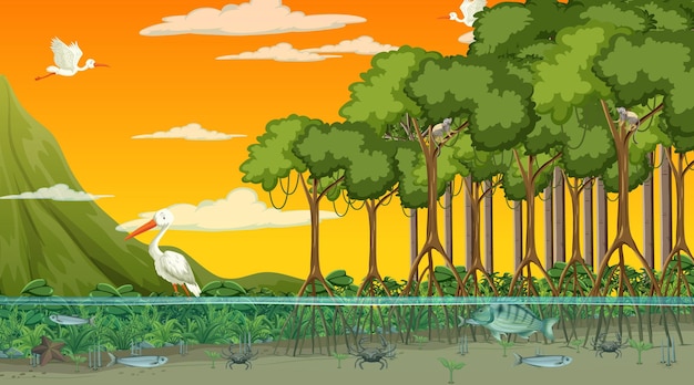 Vector los animales viven en el bosque de manglares en la escena del atardecer