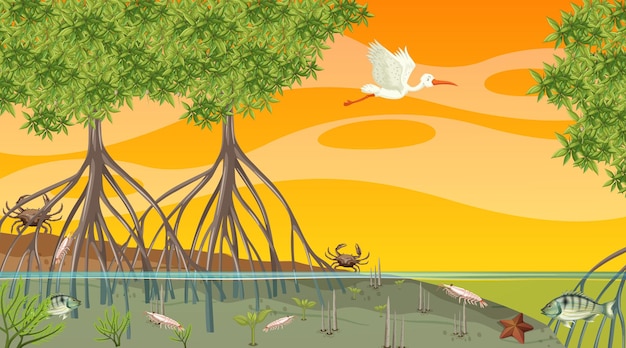 Vector los animales viven en el bosque de manglares en la escena del atardecer