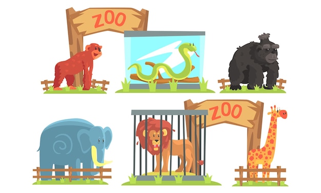Vector animales en el zoológico mono serpiente gorila elefante león jirafa ilustración vectorial