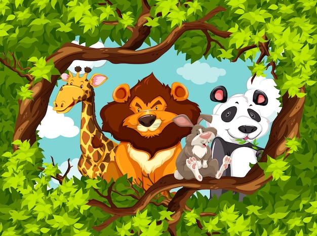 animales