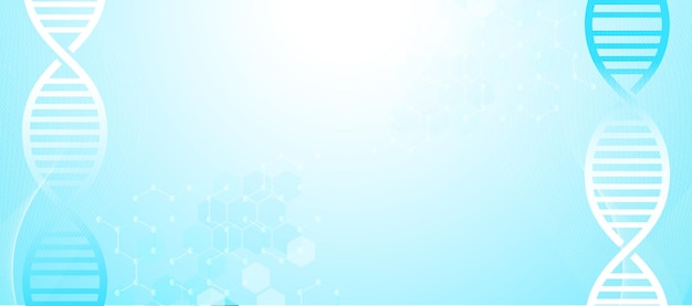 Antecedentes del ADN para el PPT