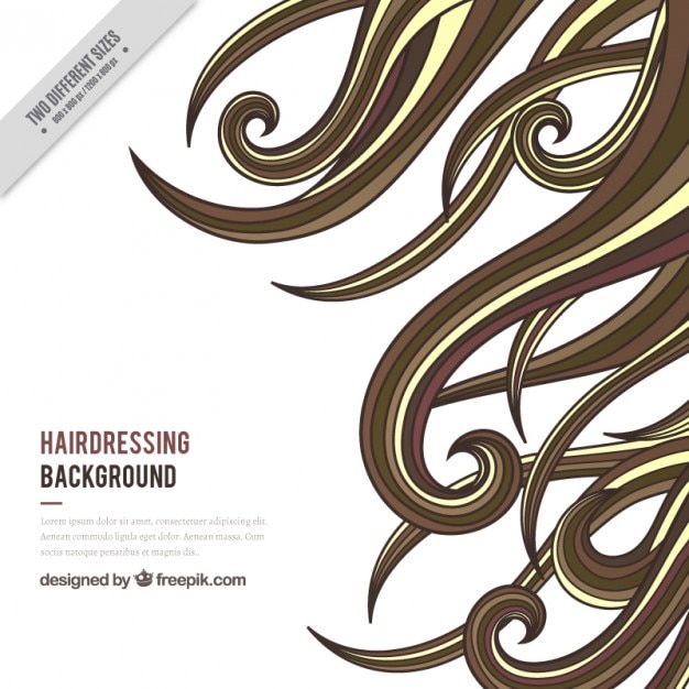 Vector antecedentes hardressing salon