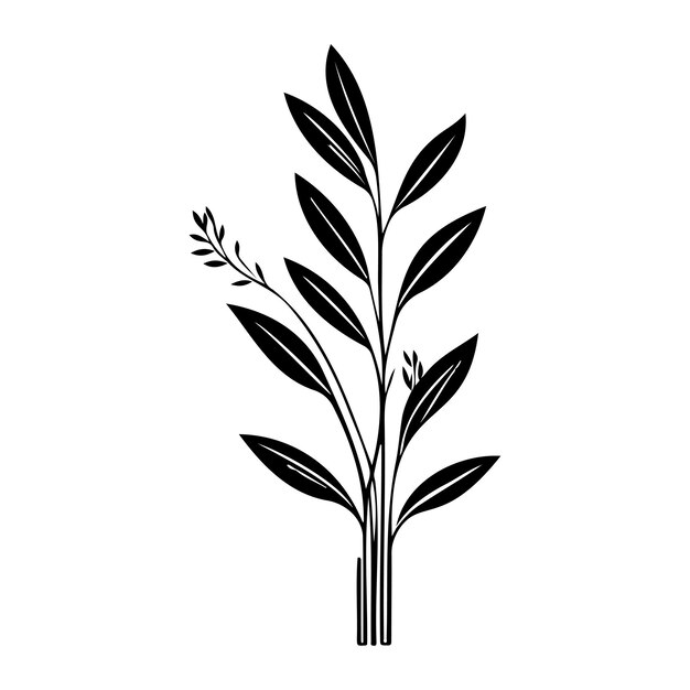 Vector anthericum icon dibujo a mano de la hoja de la planta de color negro símbolo del logotipo perfecto