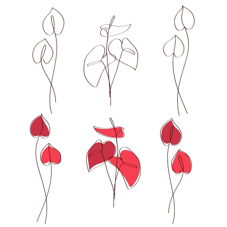 Vector anthurium dibujado a mano deja una elegante obra de arte de una línea