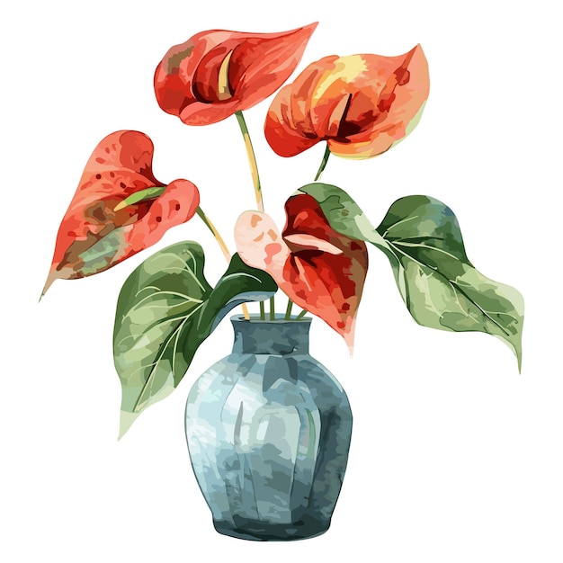 Vector anthurium flowers in vase conjunto de acuarela aislada sobre un fondo blanco