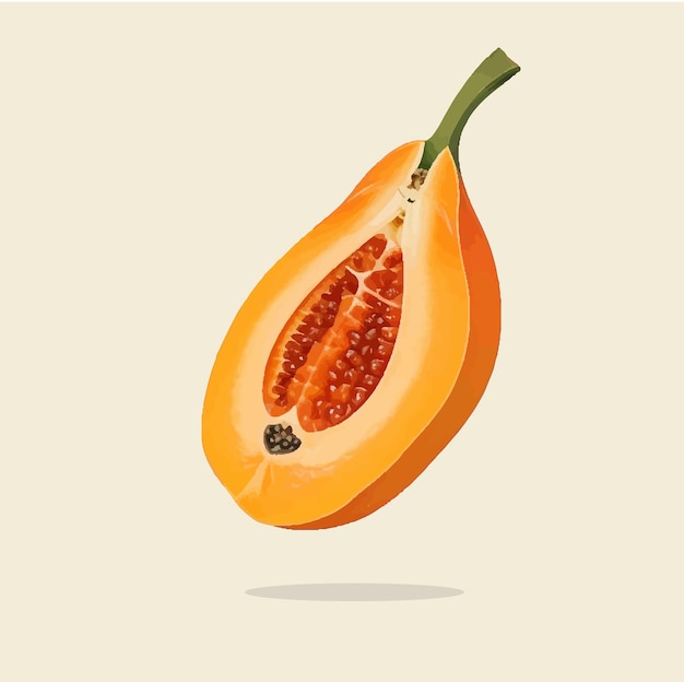 Una antigua ilustración de la papaya