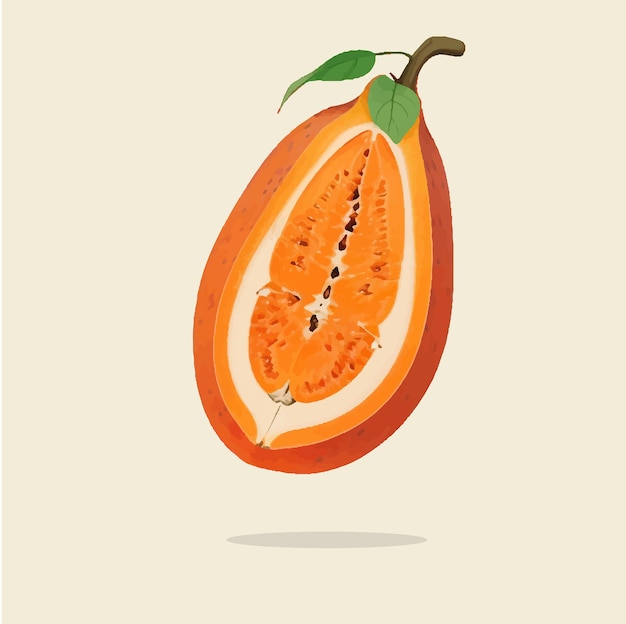 Una antigua ilustración de la papaya