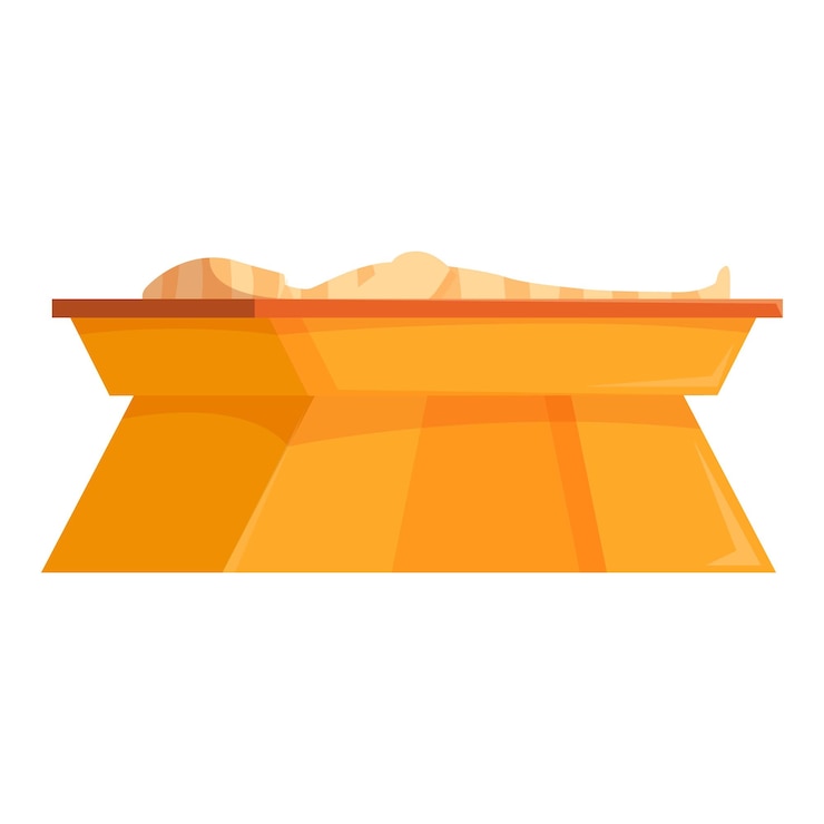 Vector la antigua momia egipcia en el icono del sarcófago dorado
