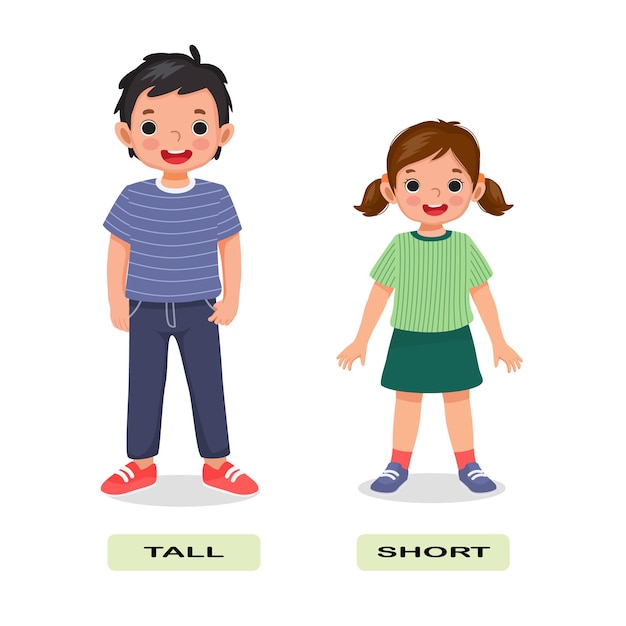 Antónimo de adjetivo opuesto Palabras en inglés Ilustración corta y alta para tarjeta de explicación para niños