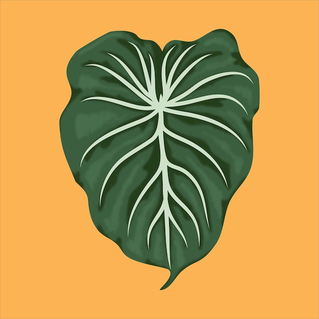 Anturio planta hoja vector ilustración planta floral eps archivo