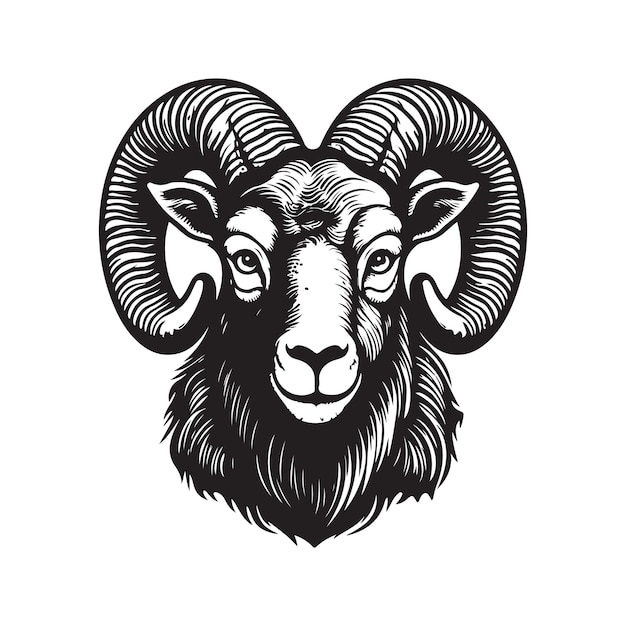 Aoudad vintage logo concepto blanco y negro color dibujado a mano ilustración