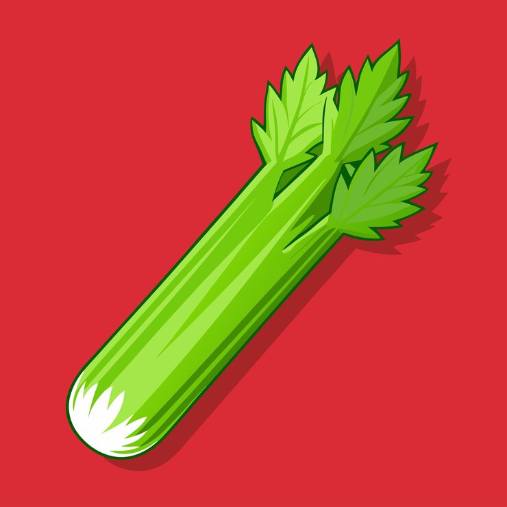 Vector apio verde fresco
