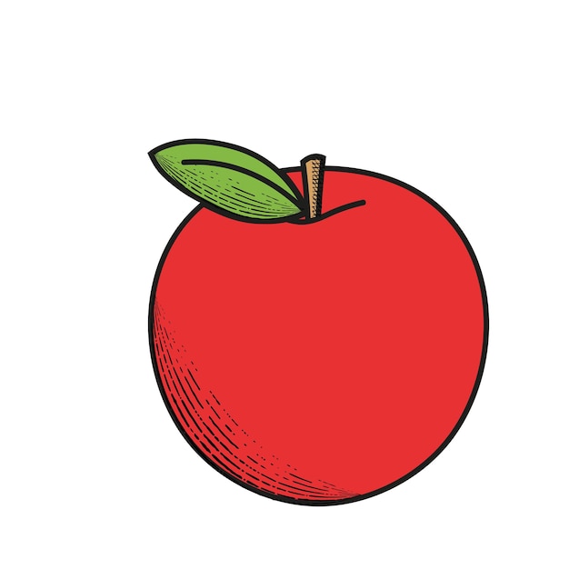 Aplicación vectorial aislada roja sobre fondo blanco