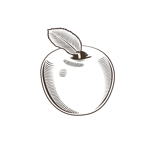 Apple en estilo vintage. Ilustración de arte lineal