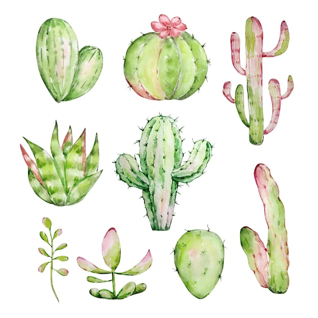 Aquarela cactus conjunto de plantas del desierto mexicano