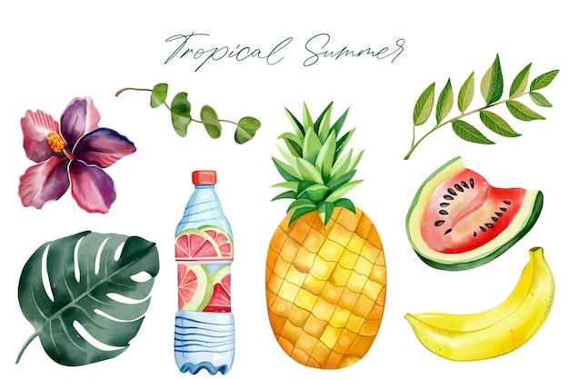 Aquarela clipart de verano Frutas exóticas Hojas de palma Elementos de verano