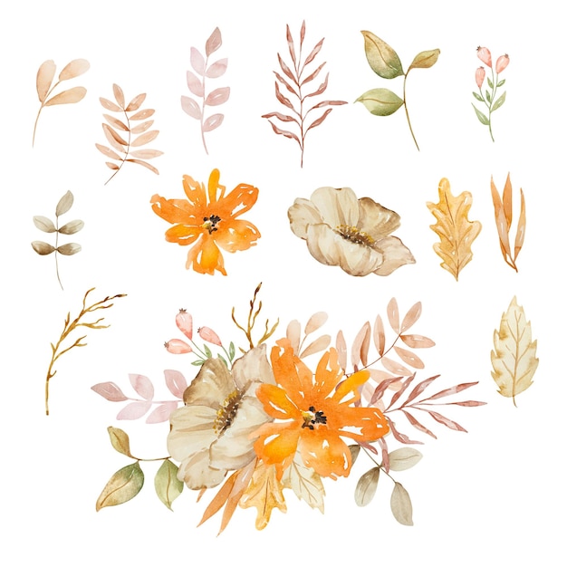 Vector aquarela elegante ramo de flores y hojas de otoño estilo boho