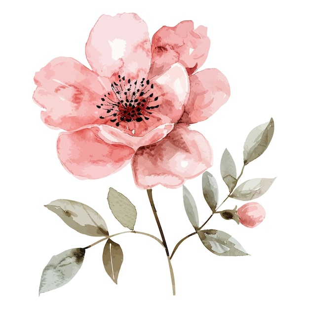 Aquarela flor púrpura con hojas vector