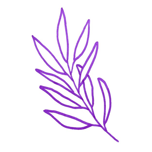 Aquarela floral y hojas elemento diseño de ramas de acuarela
