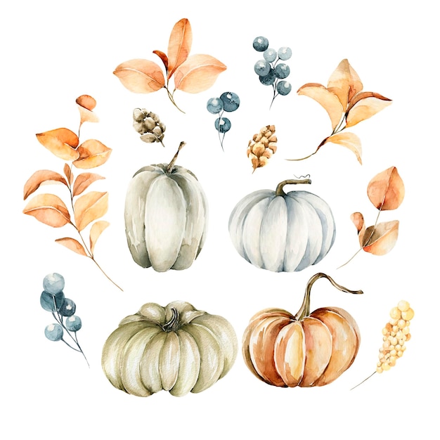 Aquarela floral otoño jardín de otoño pintado a mano con calabazas flores bayas para el día de Acción de Gracias