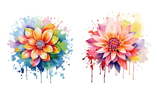 Aquarela de las flores de dalia Vector