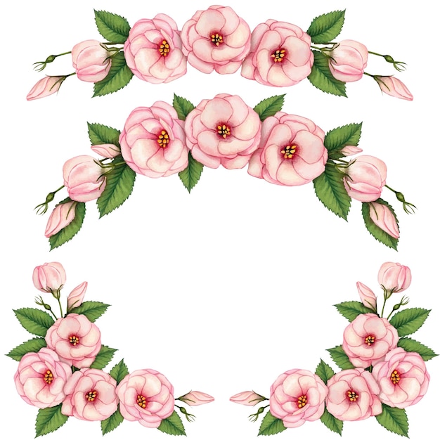 Aquarela de flores delicadas dibujadas a mano