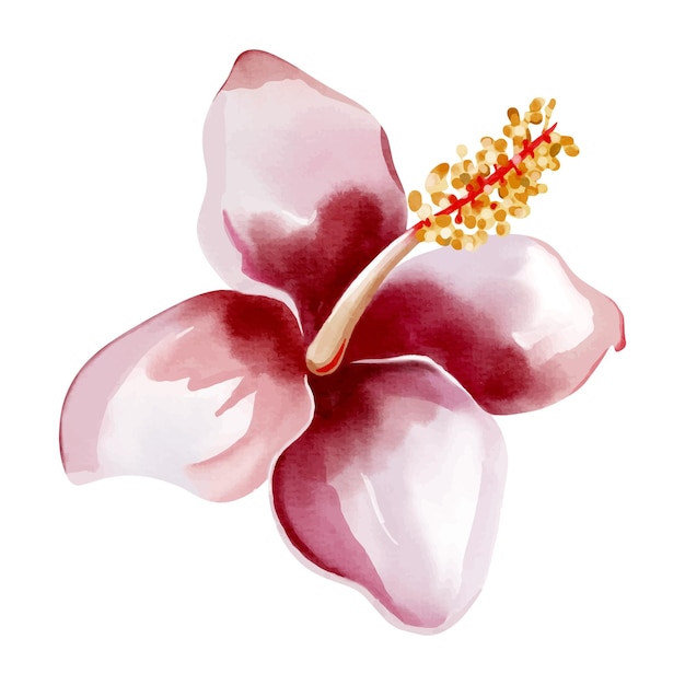 Aquarela de flores tropicales Ilustración floral de flores exóticas Orquídea de acuarela