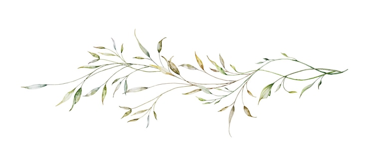 Vector aquarela de ramas y hojas botánicas largas