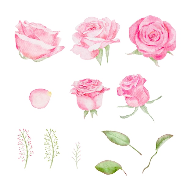 Aquarela rosa flores de rosas ramo para la tarjeta del día de San Valentín vector