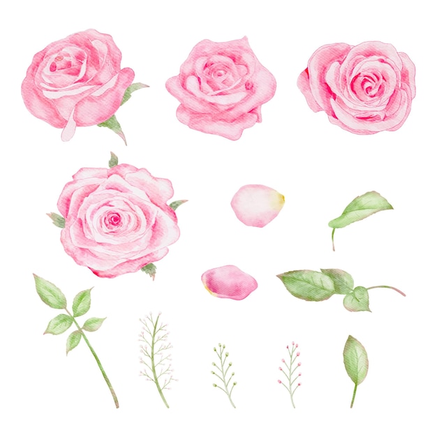 Aquarela rosa flores de rosas ramo para la tarjeta del día de San Valentín vector