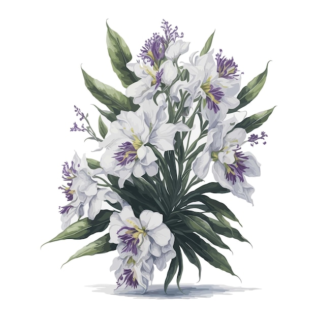 Vector aquarela vanda flores un vector sencillo