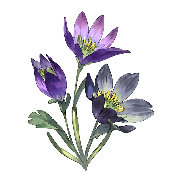 Vector aquarela vector flor púrpura hojas florales colección de hojas ilustración de flores y botánicos