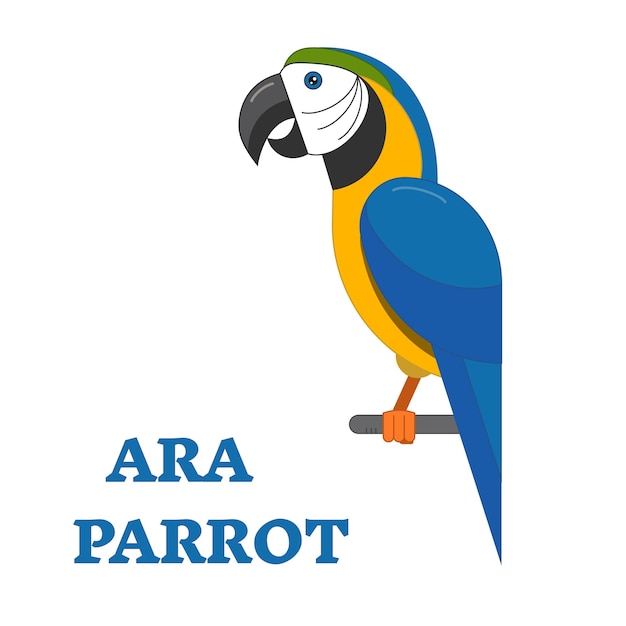 Ara loro icono de arte de línea de pájaros exóticos Observación de pájaros colección popular de pájaros diseño plano loro geométrico tropical coloreado en colores vivos brillantes estilo simple y lindo.