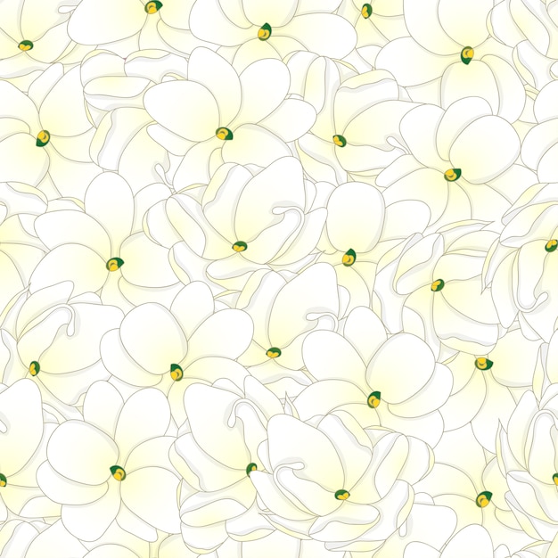 Vector arabian jasmine seamless background