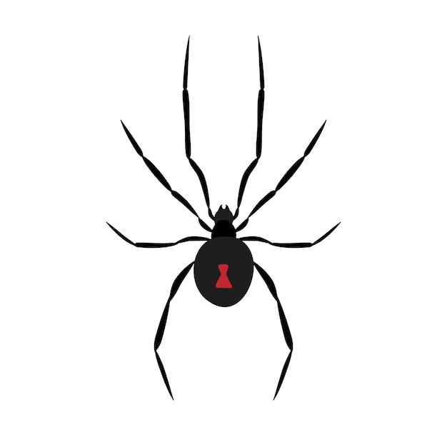 Vector una araña que tiene la letra h en ella