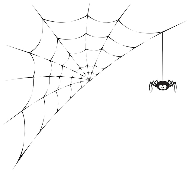 Araña y web