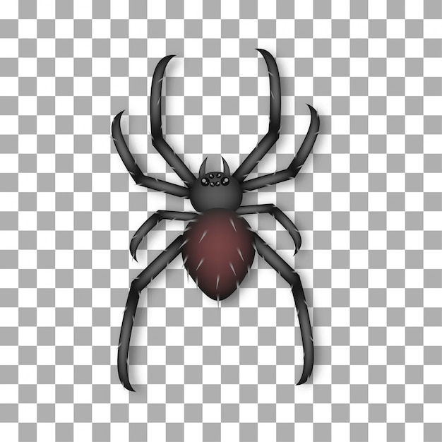 Vector araña