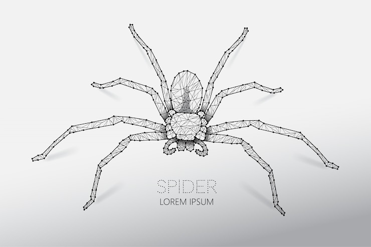 Vector araña