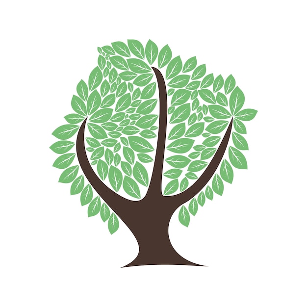Árbol 1