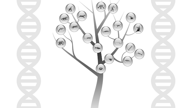 Árbol de ADN con iconos de animales sobre fondo claro Ilustración vectorial de un árbol de evolución