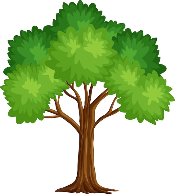 Vector un árbol aislado en el fondo blanco