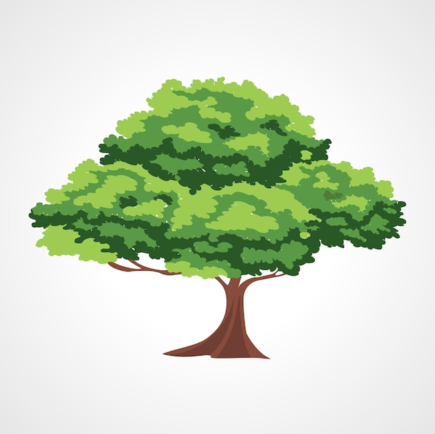 Vector Árbol aislado ilustración