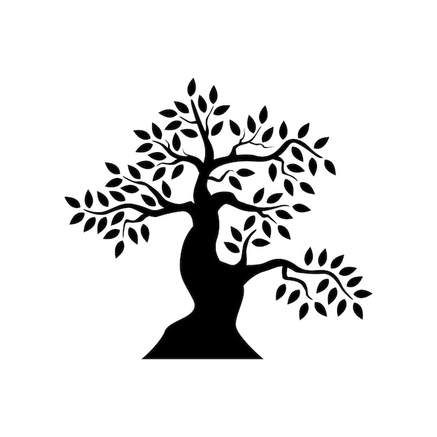 Árbol aislado sobre fondo blanco.