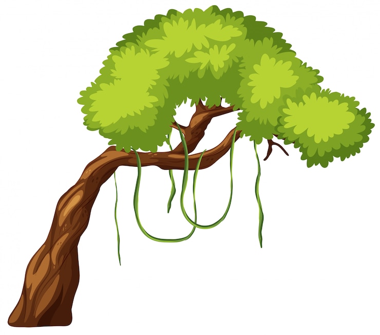 Vector un árbol aislado sobre un fondo blanco