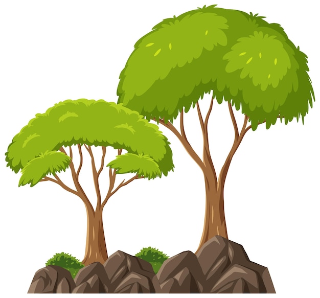 Árbol aislado sobre fondo blanco