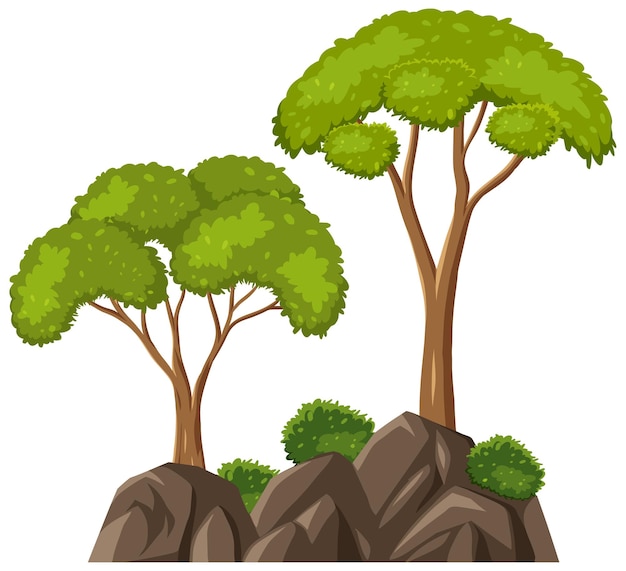 Árbol aislado sobre fondo blanco