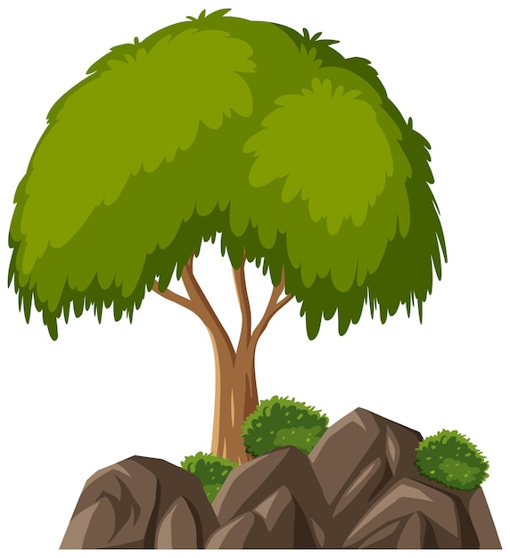 Árbol aislado sobre fondo blanco