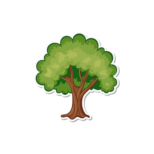 Árbol aislado sobre fondo blanco