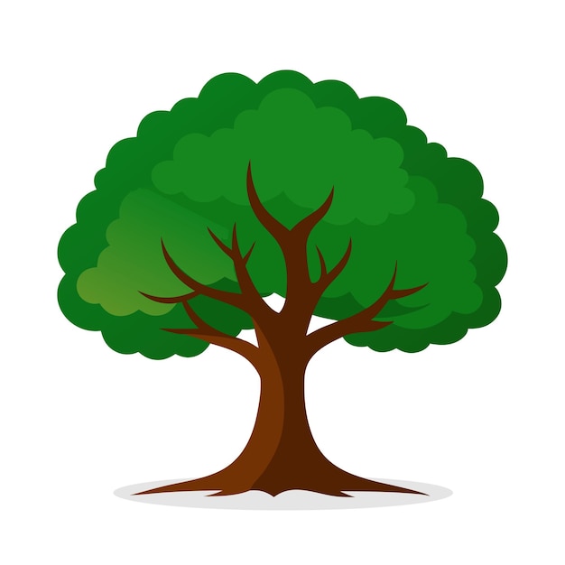 Árbol de American BeechFagus grandifolia Ilustración vectorial plana de la naturaleza sobre un fondo blanco