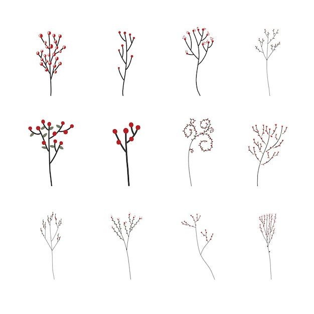 Árbol de aquifolium y acebo para la colección de vectores de decoración.